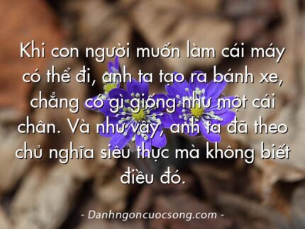 Khi con người muốn làm cái máy có thể đi, anh ta tạo ra bánh xe, chẳng có gì giống như một cái chân. Và như vậy, anh ta đã theo chủ nghĩa siêu thực mà không biết điều đó.