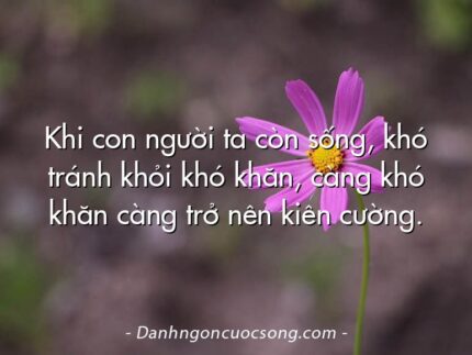 Khi con người ta còn sống, khó tránh khỏi khó khăn, càng khó khăn càng trở nên kiên cường.