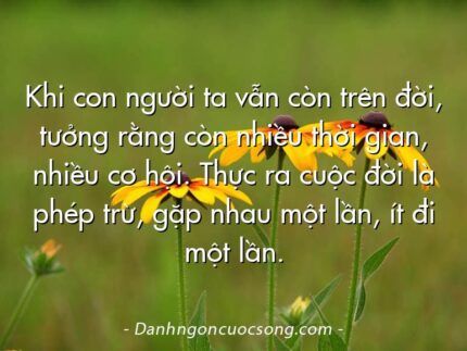 Khi con người ta vẫn còn trên đời, tưởng rằng còn nhiều thời gian, nhiều cơ hội. Thực ra cuộc đời là phép trừ, gặp nhau một lần, ít đi một lần.