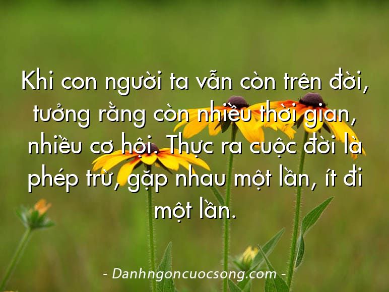 Khi con người ta vẫn còn trên đời, tưởng rằng còn nhiều thời gian, nhiều cơ hội. Thực ra cuộc đời là phép trừ, gặp nhau một lần, ít đi một lần.
