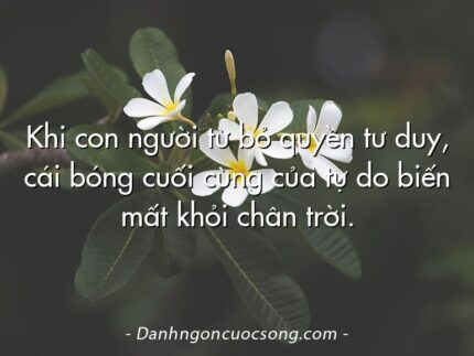 Khi con người từ bỏ quyền tư duy, cái bóng cuối cùng của tự do biến mất khỏi chân trời.