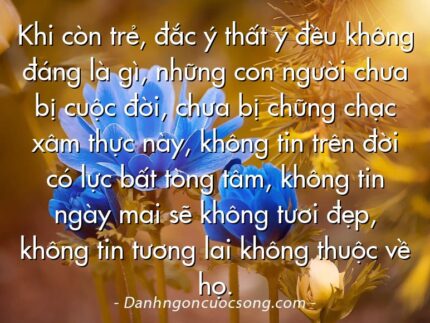 Khi còn trẻ, đắc ý thất ý đều không đáng là gì, những con người chưa bị cuộc đời, chưa bị chững chạc xâm thực này, không tin trên đời có lực bất tòng tâm, không tin ngày mai sẽ không tươi đẹp, không tin tương lai không thuộc về họ.