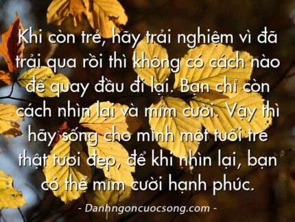 Khi còn trẻ, hãy trải nghiệm vì đã trải qua rồi thì không có cách nào để quay đầu đi lại. Bạn chỉ còn cách nhìn lại và mỉm cười. Vậy thì hãy sống cho mình một tuổi trẻ thật tươi đẹp, để khi nhìn lại, bạn có thể mỉm cười hạnh phúc.