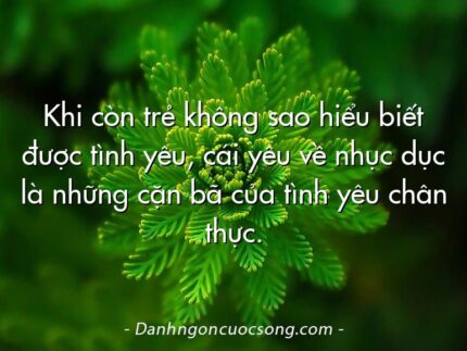 Khi còn trẻ không sao hiểu biết được tình yêu, cái yêu về nhục dục là những cặn bã của tình yêu chân thực.