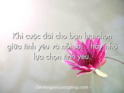 Khi cuộc đời cho bạn lựa chọn giữa tình yêu và nỗi sợ… hãy nhớ lựa chọn tình yêu.