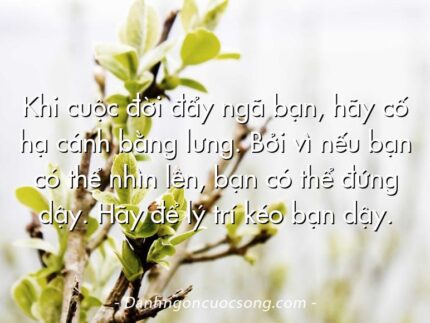 Khi cuộc đời đẩy ngã bạn, hãy cố hạ cánh bằng lưng. Bởi vì nếu bạn có thể nhìn lên, bạn có thể đứng dậy. Hãy để lý trí kéo bạn dậy.