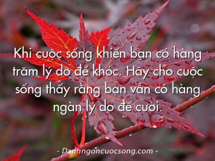 Khi cuộc sống khiến bạn có hàng trăm lý do để khóc. Hãy cho cuộc sống thấy rằng bạn vẫn có hàng ngàn lý do để cười.