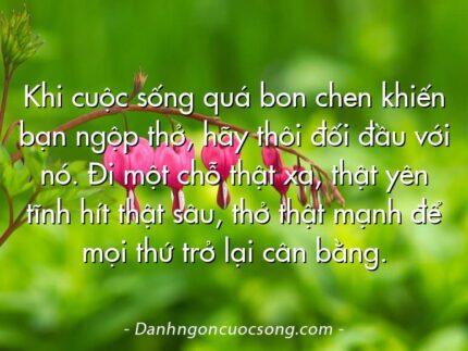 Khi cuộc sống quá bon chen khiến bạn ngộp thở, hãy thôi đối đầu với nó. Đi một chỗ thật xa, thật yên tĩnh hít thật sâu, thở thật mạnh để mọi thứ trở lại cân bằng.