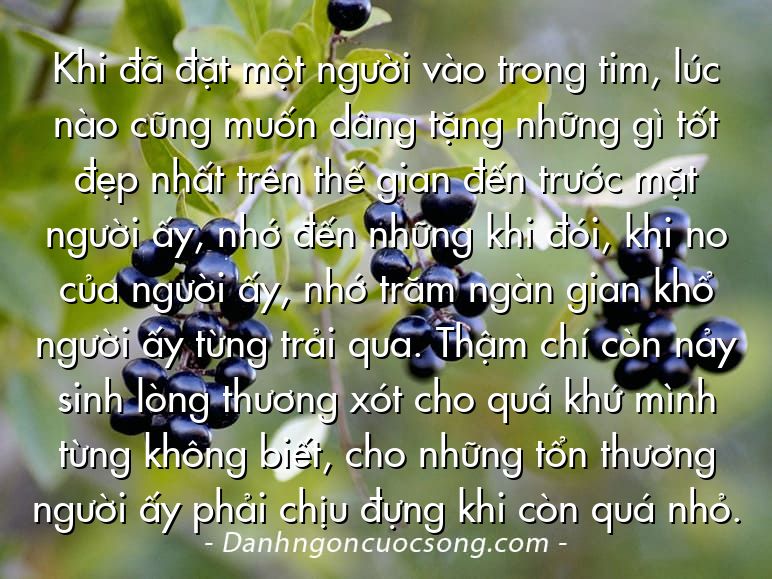 Khi đã đặt một người vào trong tim, lúc nào cũng muốn dâng tặng những gì tốt đẹp nhất trên thế gian đến trước mặt người ấy, nhớ đến những khi đói, khi no của người ấy, nhớ trăm ngàn gian khổ người ấy từng trải qua. Thậm chí còn nảy sinh lòng thương xót cho quá khứ mình từng không biết, cho những tổn thương người ấy phải chịu đựng khi còn quá nhỏ.