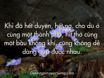 Khi đã hết duyên, hết nợ, cho dù ở cùng một thành phố, hít thở cùng một bầu không khí, cũng không dễ dàng gặp được nhau.