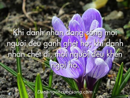 Khi danh nhân đang sống mọi người đều ganh ghét họ; khi danh nhân chết đi, mọi người đều khen ngợi họ.