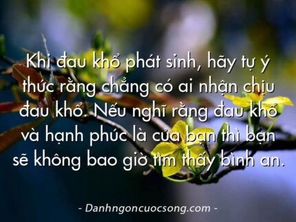 Khi đau khổ phát sinh, hãy tự ý thức rằng chẳng có ai nhận chịu đau khổ. Nếu nghĩ rằng đau khổ và hạnh phúc là của bạn thì bạn sẽ không bao giờ tìm thấy bình an.
