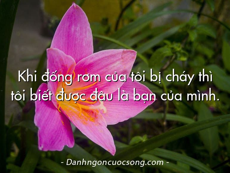 Khi đống rơm của tôi bị cháy thì tôi biết được đâu là bạn của mình.