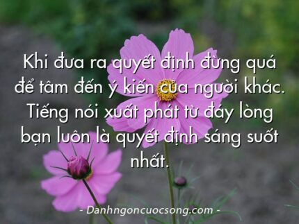 Khi đưa ra quyết định đừng quá để tâm đến ý kiến của người khác. Tiếng nói xuất phát từ đáy lòng bạn luôn là quyết định sáng suốt nhất.