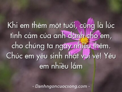 Khi em thêm một tuổi, cũng là lúc tình cảm của anh dành cho em, cho chúng ta ngày nhiều thêm. Chúc em yêu sinh nhật vui vẻ! Yêu em nhiều lắm