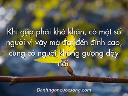 Khi gặp phải khó khăn, có một số người vì vậy mà đạt đến đỉnh cao, cũng có người không gượng dậy nổi.