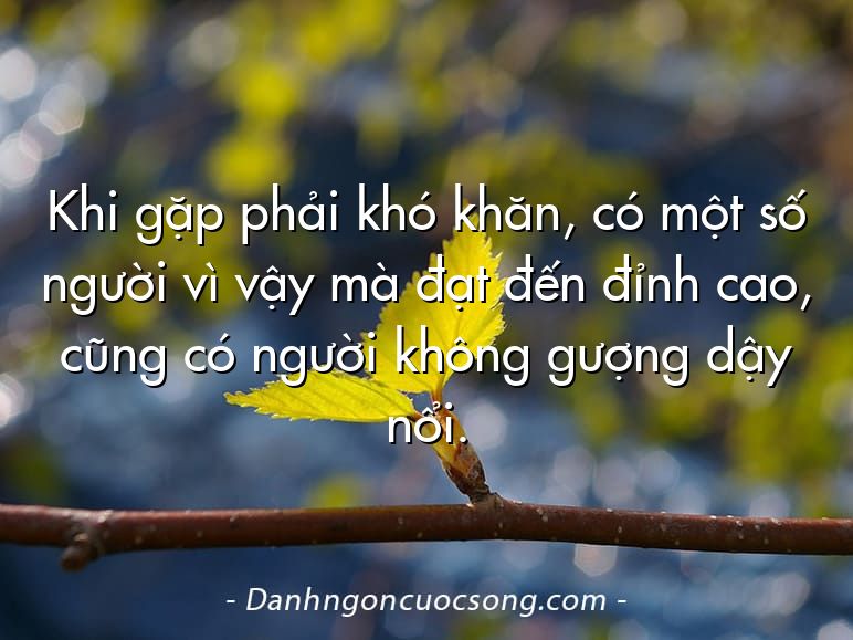 Khi gặp phải khó khăn, có một số người vì vậy mà đạt đến đỉnh cao, cũng có người không gượng dậy nổi.