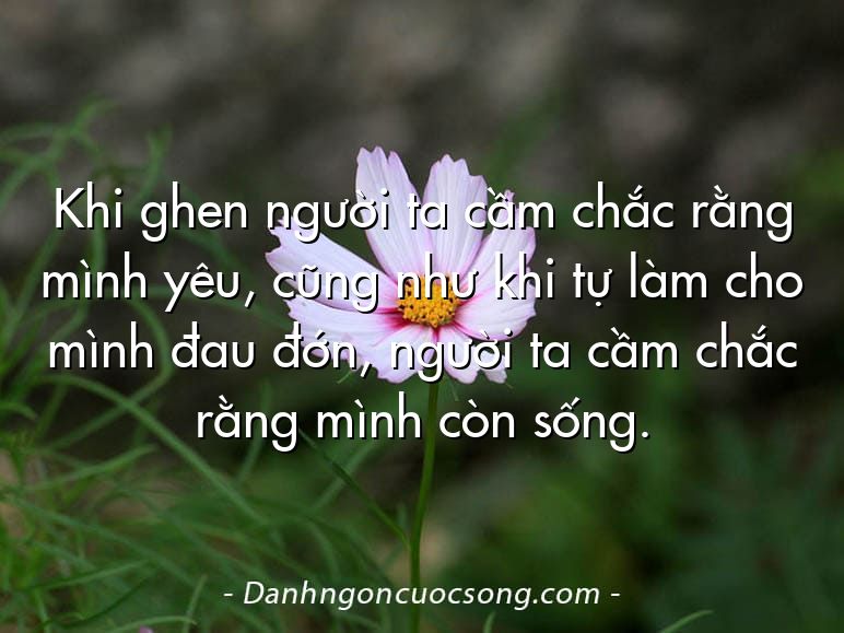 Khi ghen người ta cầm chắc rằng mình yêu, cũng như khi tự làm cho mình đau đớn, người ta cầm chắc rằng mình còn sống.