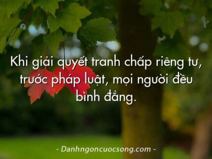 Khi giải quyết tranh chấp riêng tư, trước pháp luật, mọi người đều bình đẳng.