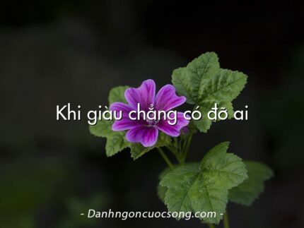 Khi giàu chẳng có đỡ ai