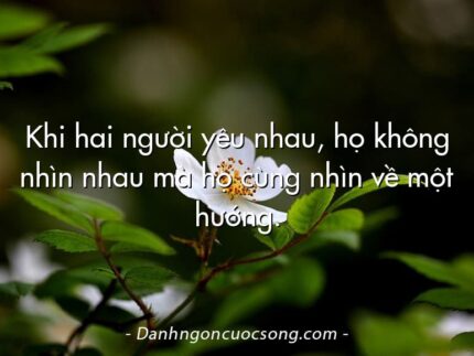 Khi hai người yêu nhau, họ không nhìn nhau mà họ cùng nhìn về một hướng.