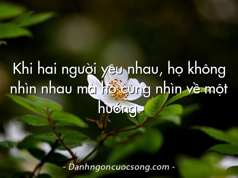 Khi hai người yêu nhau, họ không nhìn nhau mà họ cùng nhìn về một hướng.