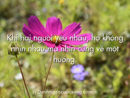 Khi hai người yêu nhau, họ không nhìn nhau mà nhin cùng về một hướng.