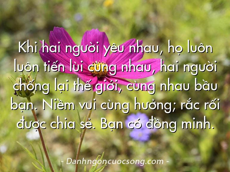 Khi hai người yêu nhau, họ luôn luôn tiến lùi cùng nhau, hai người chống lại thế giới, cùng nhau bầu bạn. Niềm vui cùng hưởng; rắc rối được chia sẻ. Bạn có đồng minh.