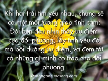 Khi hai trái tim yêu nhau, chúng sẽ có một mối tương giao tình cảm: Đôi bên đều nhìn thấy ưu điểm của đối phương, lấy tình yêu đó mà bồi dưỡng ưu điểm, và đem tất cả những gì mình có trao cho đối phương.