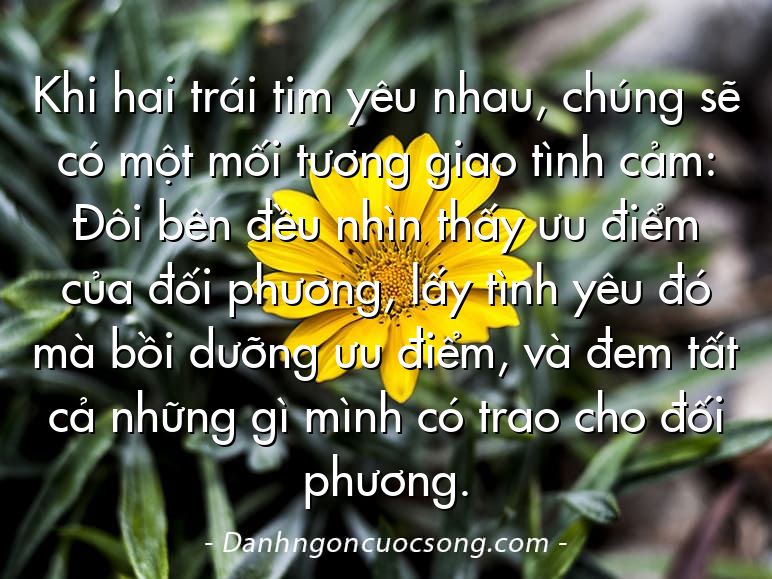 Khi hai trái tim yêu nhau, chúng sẽ có một mối tương giao tình cảm: Đôi bên đều nhìn thấy ưu điểm của đối phương, lấy tình yêu đó mà bồi dưỡng ưu điểm, và đem tất cả những gì mình có trao cho đối phương.