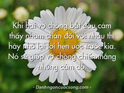 Khi hai vợ chồng bắt đầu cảm thấy nhàm chán đối với nhau thì hãy nhớ lại lời hẹn ước trước kia. Nó sẽ giúp vợ chồng chiến thắng những cám dỗ.