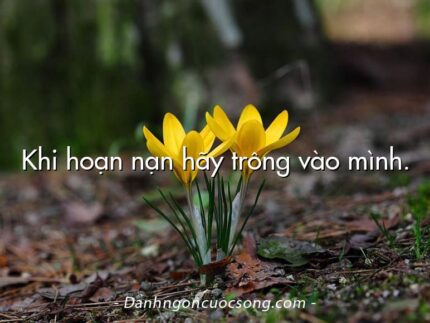 Khi hoạn nạn hãy trông vào mình.