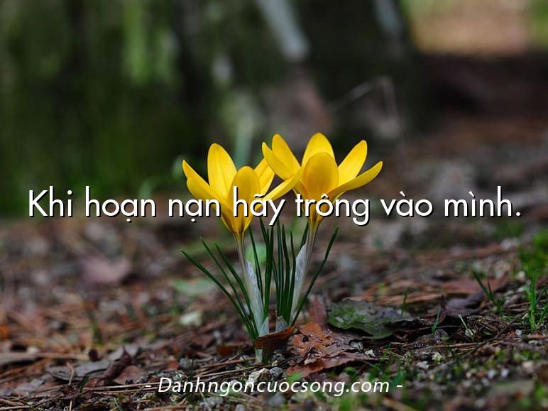 Khi hoạn nạn hãy trông vào mình.