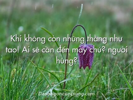 Khi không còn những thằng như tao! Ai sẽ cần đến mày chứ? người hùng?