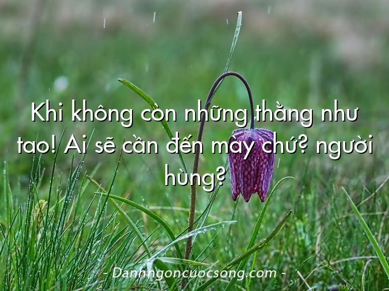 Khi không còn những thằng như tao! Ai sẽ cần đến mày chứ? người hùng?