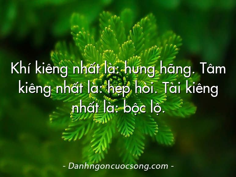 Khí kiêng nhất là: hung hãng. Tâm kiêng nhất là: hẹp hòi. Tài kiêng nhất là: bộc lộ.
