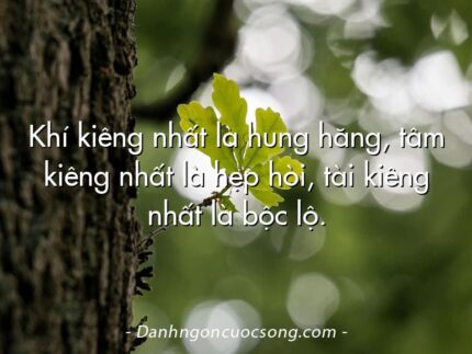 Khí kiêng nhất là hung hăng, tâm kiêng nhất là hẹp hòi, tài kiêng nhất là bộc lộ.