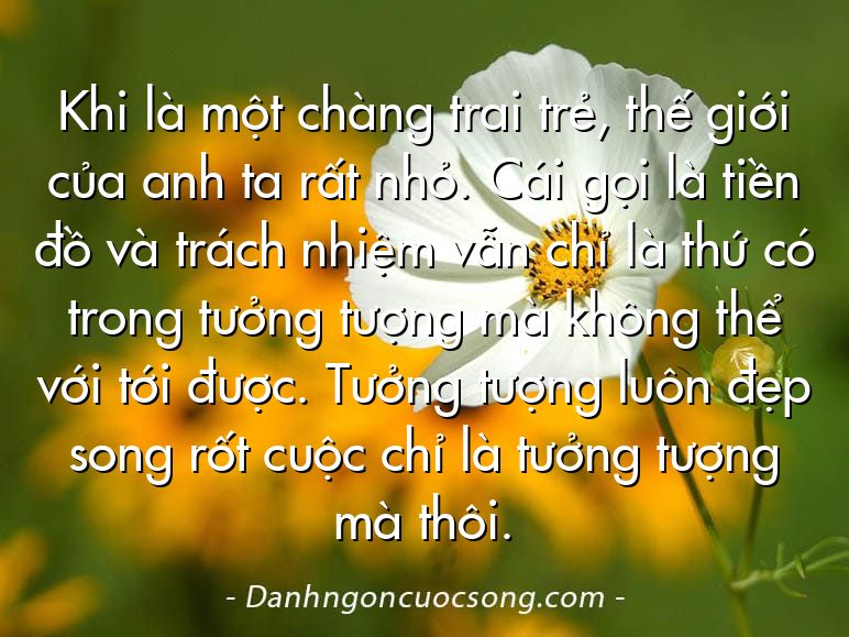 Khi là một chàng trai trẻ, thế giới của anh ta rất nhỏ. Cái gọi là tiền đồ và trách nhiệm vẫn chỉ là thứ có trong tưởng tượng mà không thể với tới được. Tưởng tượng luôn đẹp song rốt cuộc chỉ là tưởng tượng mà thôi.