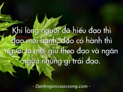 Khi lòng người đã hiểu đạo thì đạo mới hành; đạo có hành thì người ta mới giữ theo đạo và ngăn ngừa những gì trái đạo.