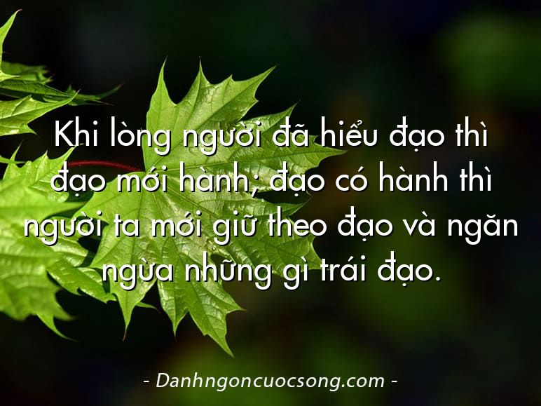 Khi lòng người đã hiểu đạo thì đạo mới hành; đạo có hành thì người ta mới giữ theo đạo và ngăn ngừa những gì trái đạo.
