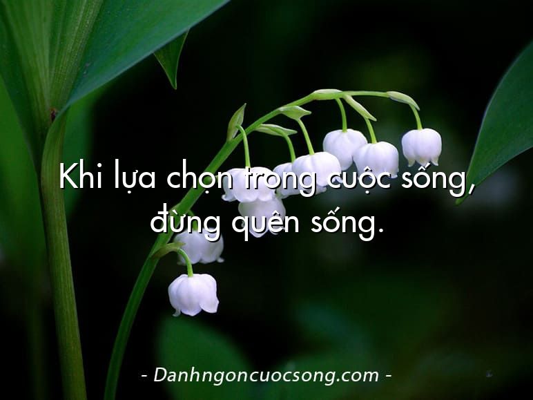 Khi lựa chọn trong cuộc sống, đừng quên sống.