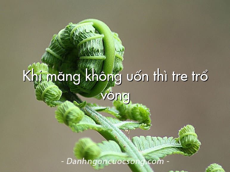 Khi măng không uốn thì tre trổ vồng