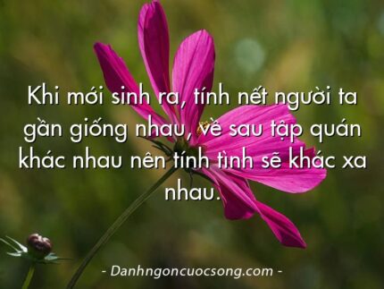 Khi mới sinh ra, tính nết người ta gần giống nhau, về sau tập quán khác nhau nên tính tình sẽ khác xa nhau.