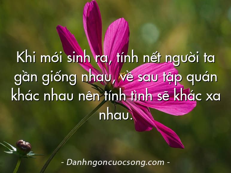 Khi mới sinh ra, tính nết người ta gần giống nhau, về sau tập quán khác nhau nên tính tình sẽ khác xa nhau.