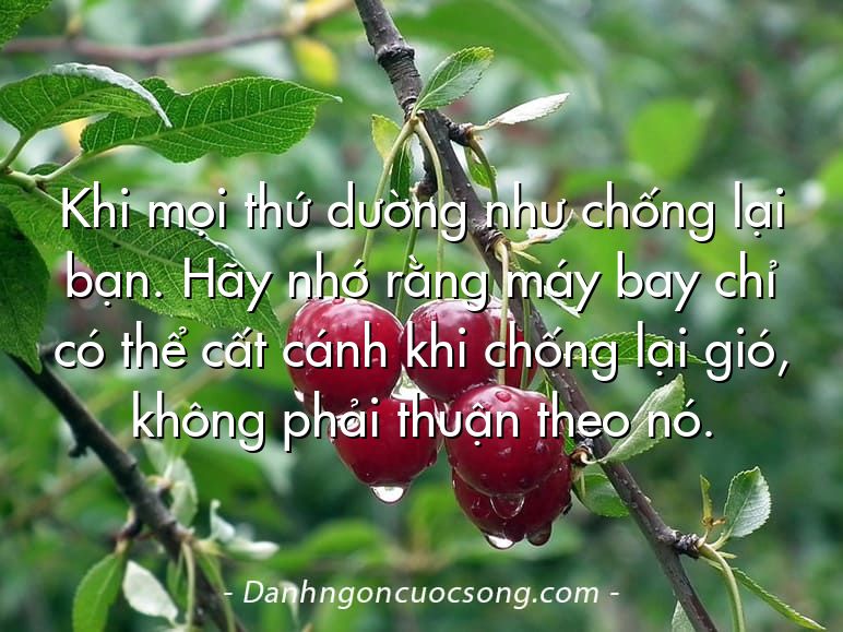 Khi mọi thứ dường như chống lại bạn. Hãy nhớ rằng máy bay chỉ có thể cất cánh khi chống lại gió, không phải thuận theo nó.
