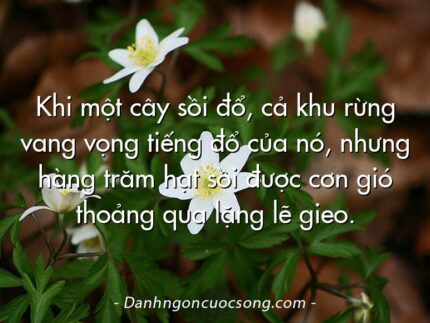 Khi một cây sồi đổ, cả khu rừng vang vọng tiếng đổ của nó, nhưng hàng trăm hạt sồi được cơn gió thoảng qua lặng lẽ gieo.