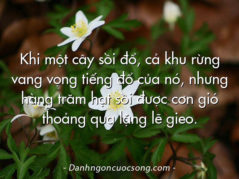 Khi một cây sồi đổ, cả khu rừng vang vọng tiếng đổ của nó, nhưng hàng trăm hạt sồi được cơn gió thoảng qua lặng lẽ gieo.
