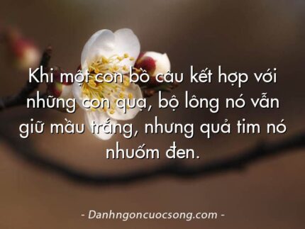 Khi một con bồ câu kết hợp với những con quạ, bộ lông nó vẫn giữ mầu trắng, nhưng quả tim nó nhuốm đen.