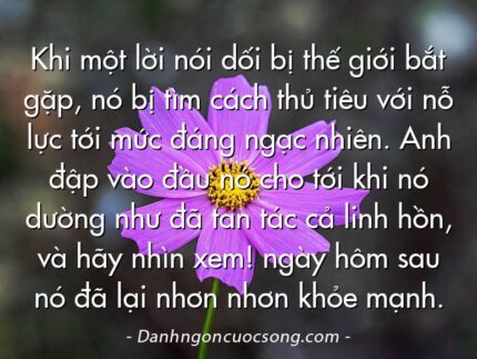 Khi một lời nói dối bị thế giới bắt gặp, nó bị tìm cách thủ tiêu với nỗ lực tới mức đáng ngạc nhiên. Anh đập vào đầu nó cho tới khi nó dường như đã tan tác cả linh hồn, và hãy nhìn xem! ngày hôm sau nó đã lại nhơn nhơn khỏe mạnh.