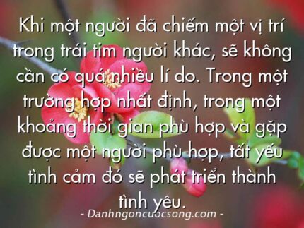 Khi một người đã chiếm một vị trí trong trái tim người khác, sẽ không cần có quá nhiều lí do. Trong một trường hợp nhất định, trong một khoảng thời gian phù hợp và gặp được một người phù hợp, tất yếu tình cảm đó sẽ phát triển thành tình yêu.